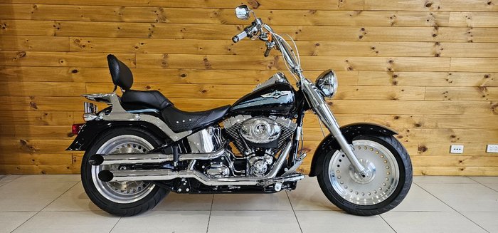 2007 HARLEY-DAVIDSON FLSTF FAT BOY