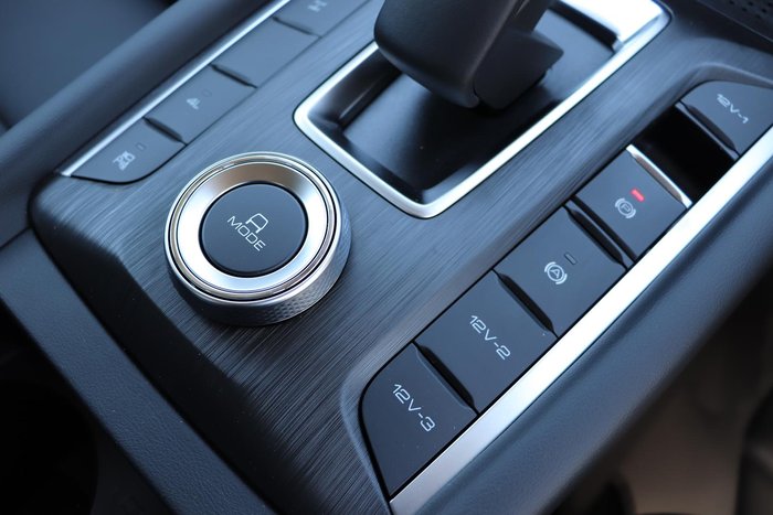 2025 GWM Cannon Vanta