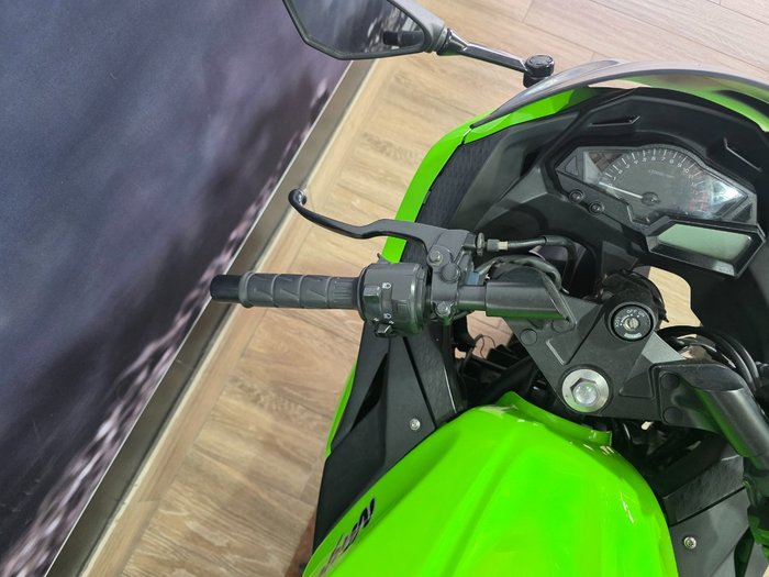 2014 Kawasaki NINJA 300 GREEN