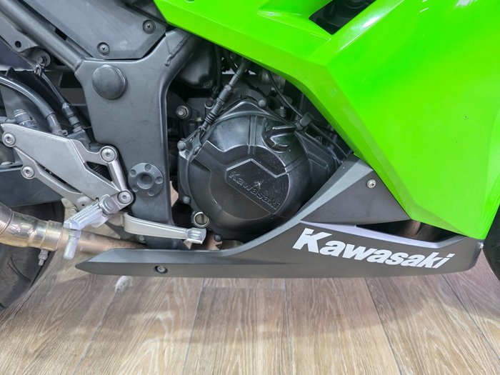 2014 Kawasaki NINJA 300 GREEN