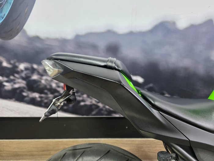 2014 Kawasaki NINJA 300 GREEN