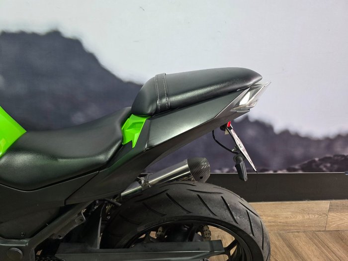 2014 Kawasaki NINJA 300 GREEN