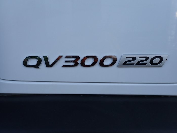 2025 HYUNDAI PAVISE D222