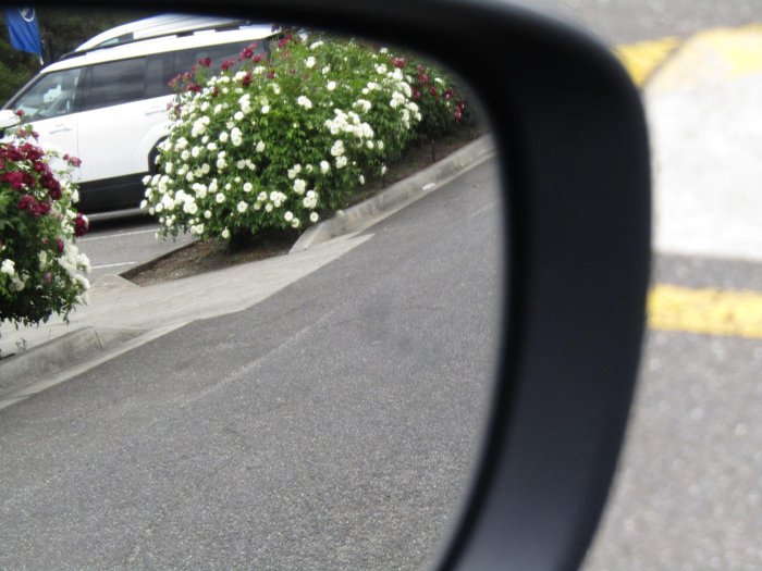 2025 Suzuki Fronx Hybrid