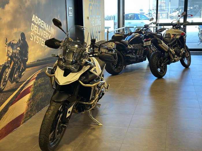 2024 Triumph Tiger 900 GT Pro Tiger White