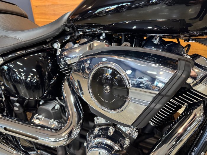 2025 HARLEY-DAVIDSON FLFB FAT BOY (117)