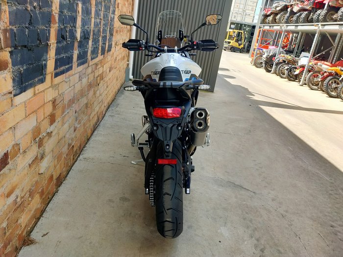 2026 TRIUMPH TIGER 900 GT ALPINE ROAD SNOWDONIA