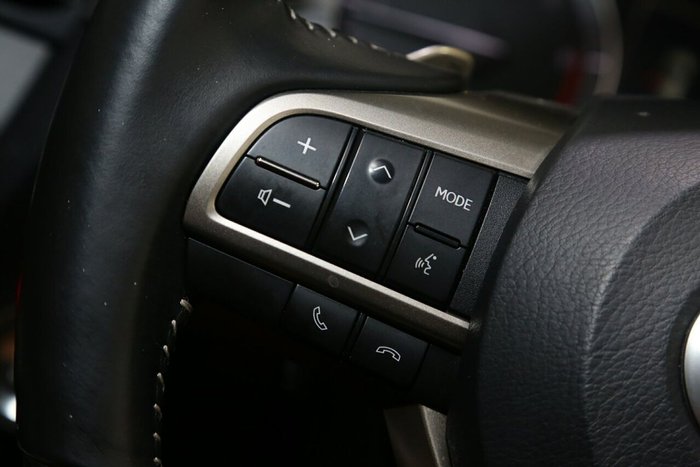 2022 Lexus RX RX300 Crafted Edition