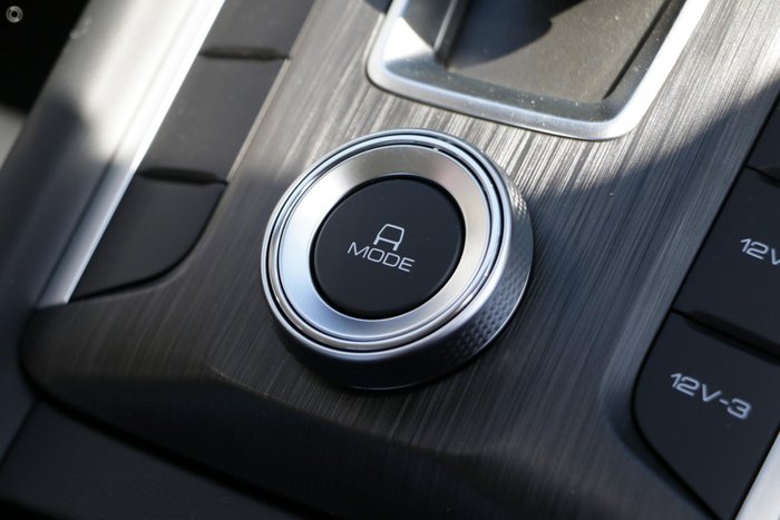 2025 GWM Cannon Premium