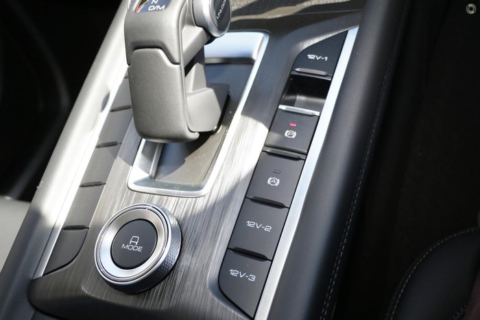 2025 GWM Cannon Premium