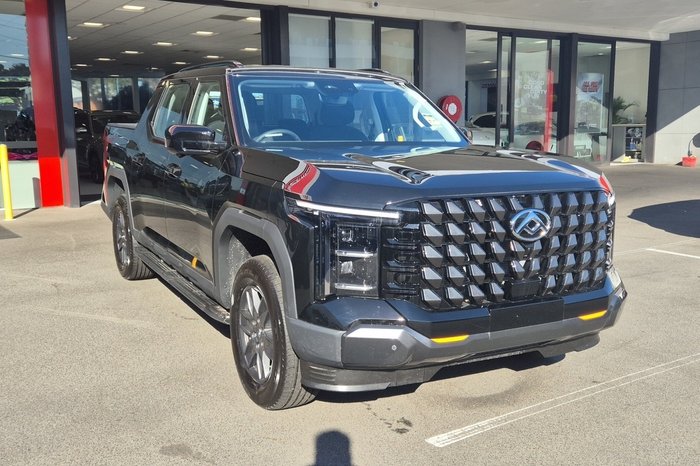 2025 LDV Terron 9