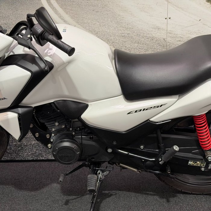 2024 Honda CB125F (CBF125) White