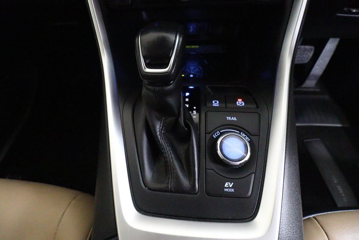 2020 Toyota RAV4 Cruiser