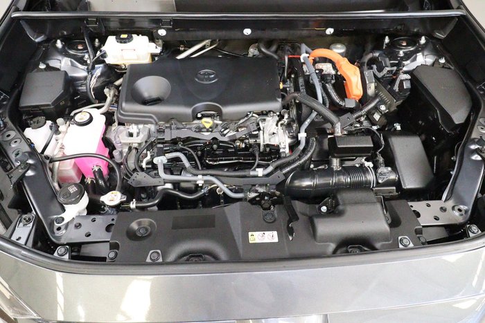 2020 Toyota RAV4 Cruiser