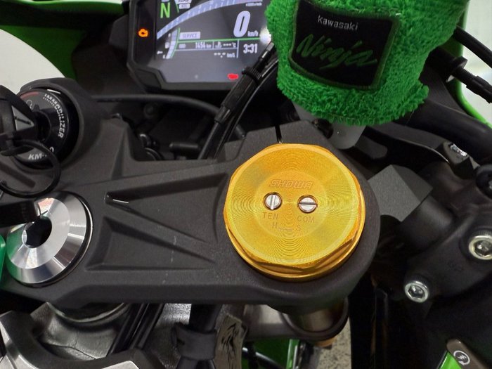 2024 Kawasaki NINJA ZX-6R (636) KRT EDITION Green