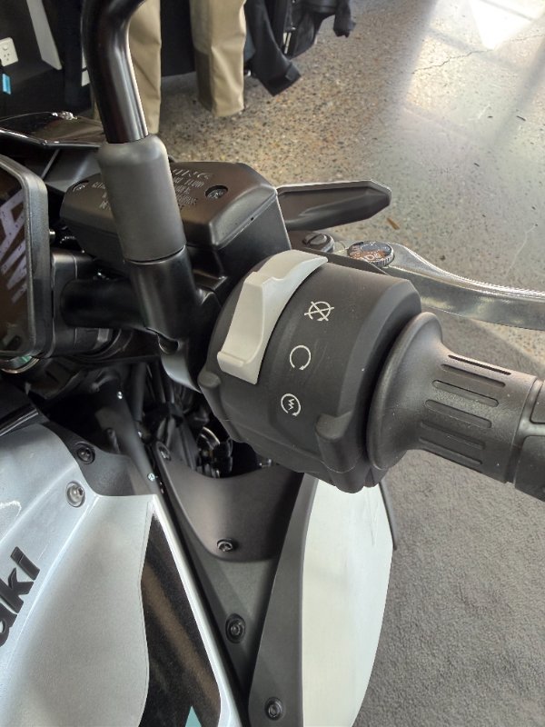 2025 Kawasaki Z900 (ZR900) Silver/Black