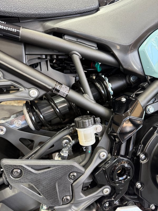 2025 Kawasaki Z900 (ZR900) Silver/Black