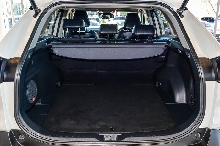 2019 Toyota RAV4 Cruiser