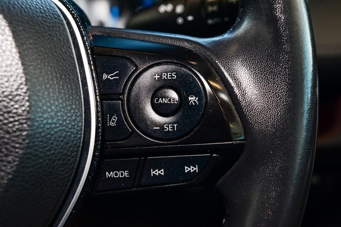 2019 Toyota RAV4 Cruiser