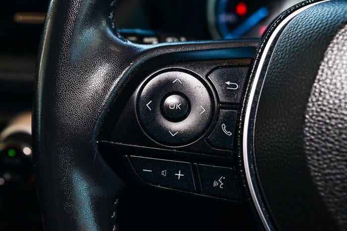 2019 Toyota RAV4 Cruiser