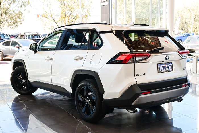 2019 Toyota RAV4 Cruiser