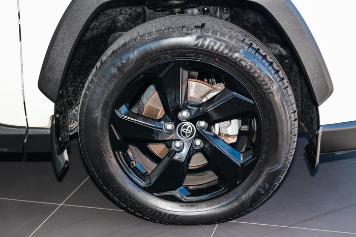 2019 Toyota RAV4 Cruiser