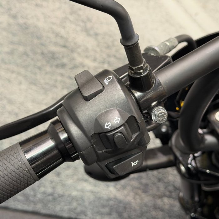 2015 HARLEY-DAVIDSON STREET 500 (LAMS) Black