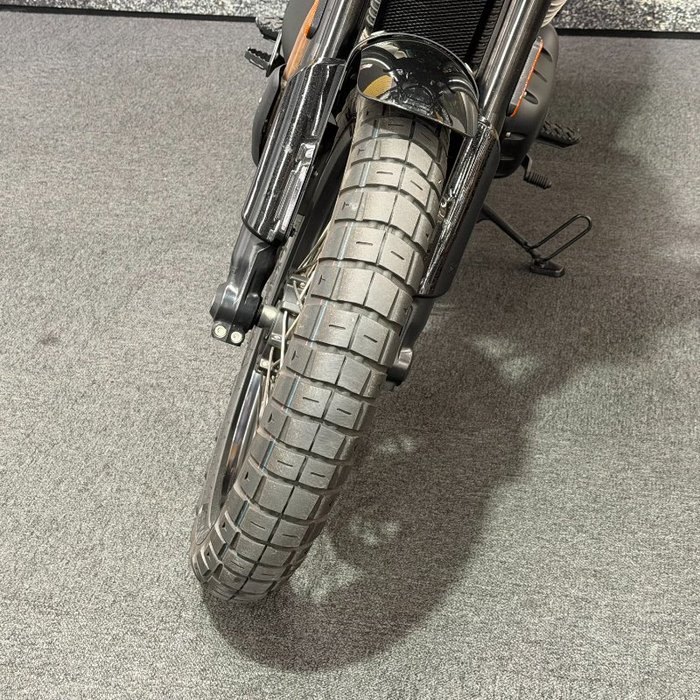 2025 Royal Enfield 2025 650CC INTERCEPTOR BEAR 650 Road White