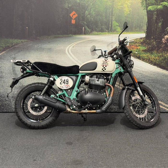 2025 Royal Enfield 2025 650CC INTERCEPTOR BEAR 650 Road White