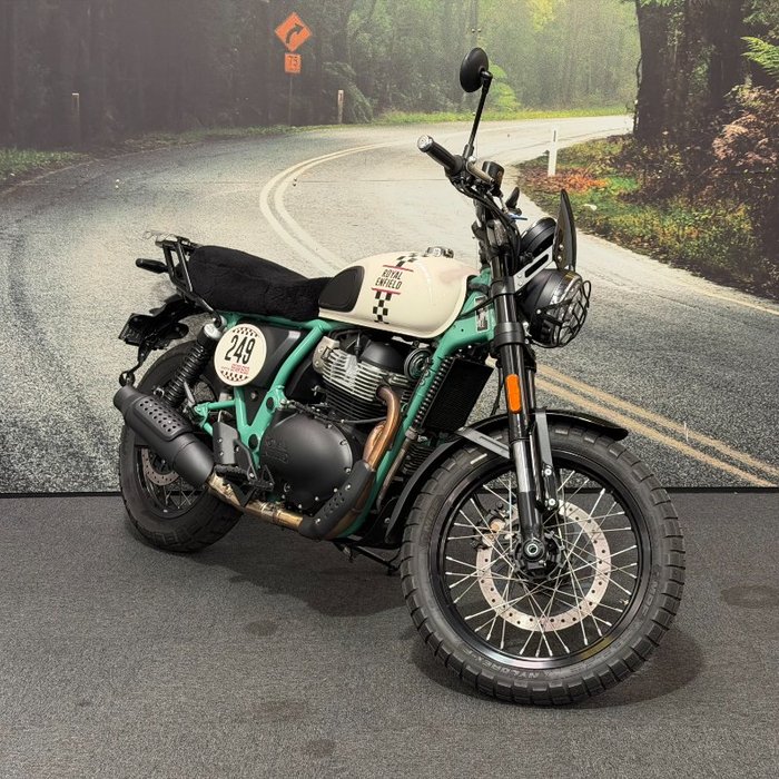 2025 Royal Enfield 2025 650CC INTERCEPTOR BEAR 650 Road White