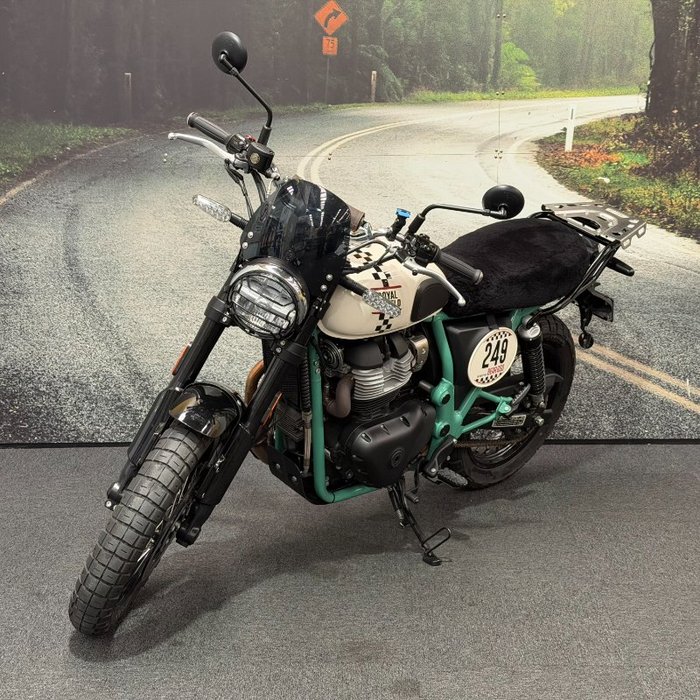 2025 Royal Enfield 2025 650CC INTERCEPTOR BEAR 650 Road White