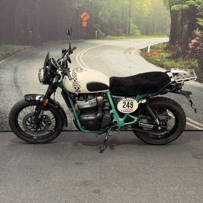 2025 Royal Enfield 2025 650CC INTERCEPTOR BEAR 650 Road White