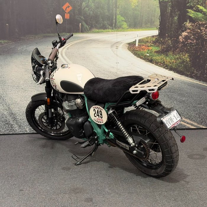 2025 Royal Enfield 2025 650CC INTERCEPTOR BEAR 650 Road White