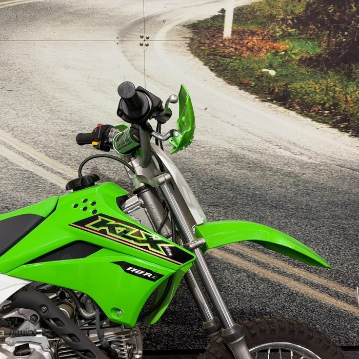 2021 Kawasaki KLX110R Green