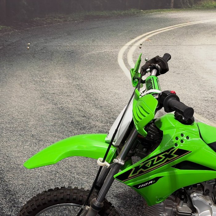 2021 Kawasaki KLX110R Green
