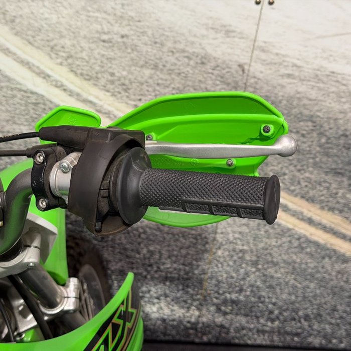 2021 Kawasaki KLX110R Green