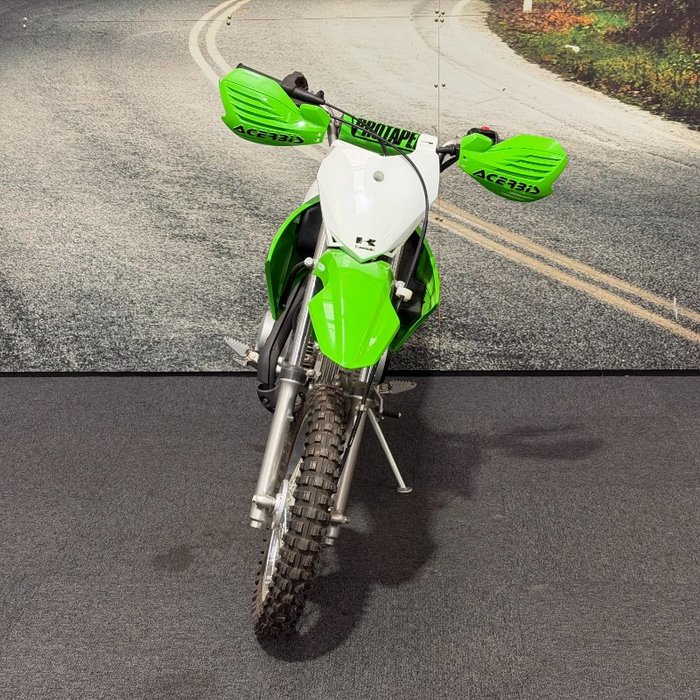2021 Kawasaki KLX110R Green