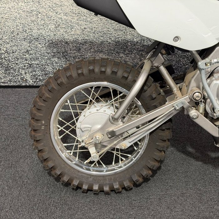 2021 Kawasaki KLX110R Green