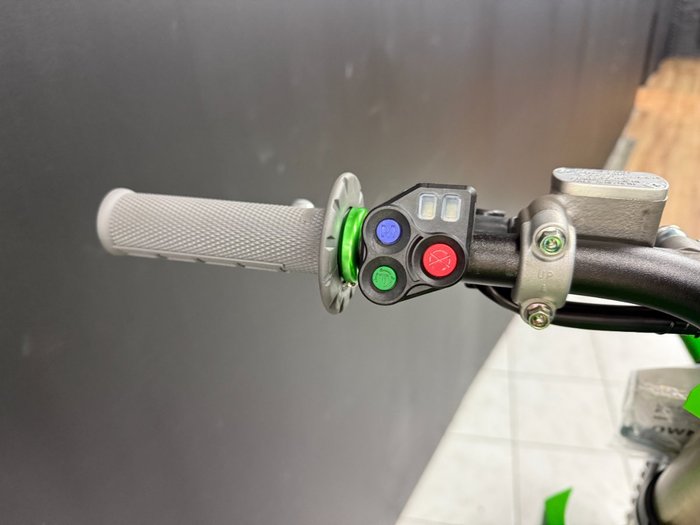 2025 Kawasaki KX450 Green