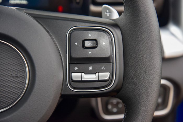 2025 GWM Cannon Vanta