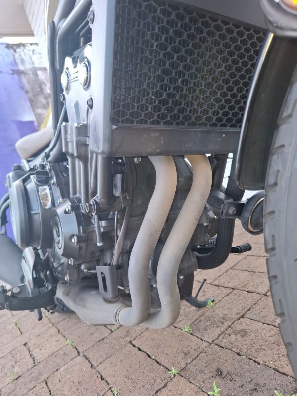 2023 Honda CMX 500 GREY