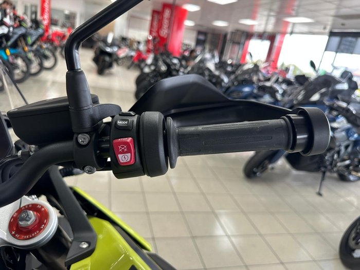 2025 BMW F 900 GS Enduro F 900 Yellow