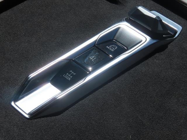 2025 LDV Terron 9 Evolve