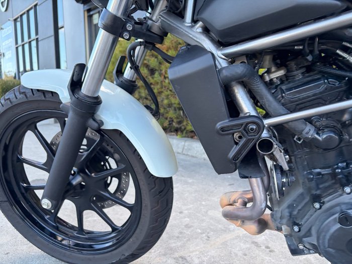 2025 Kawasaki ELIMINATOR