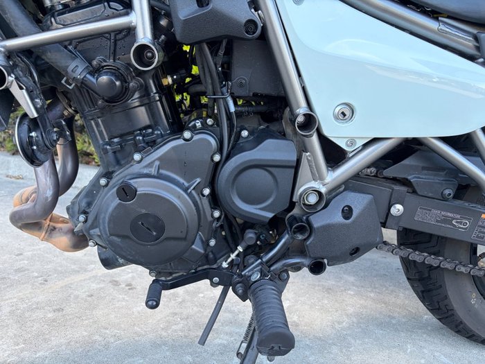 2025 Kawasaki ELIMINATOR