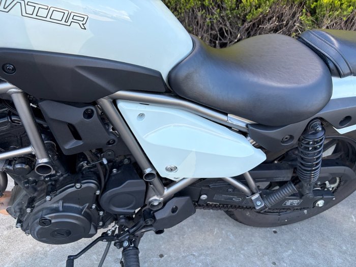 2025 Kawasaki ELIMINATOR