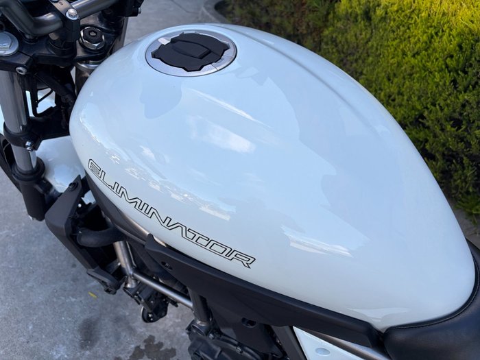 2025 Kawasaki ELIMINATOR