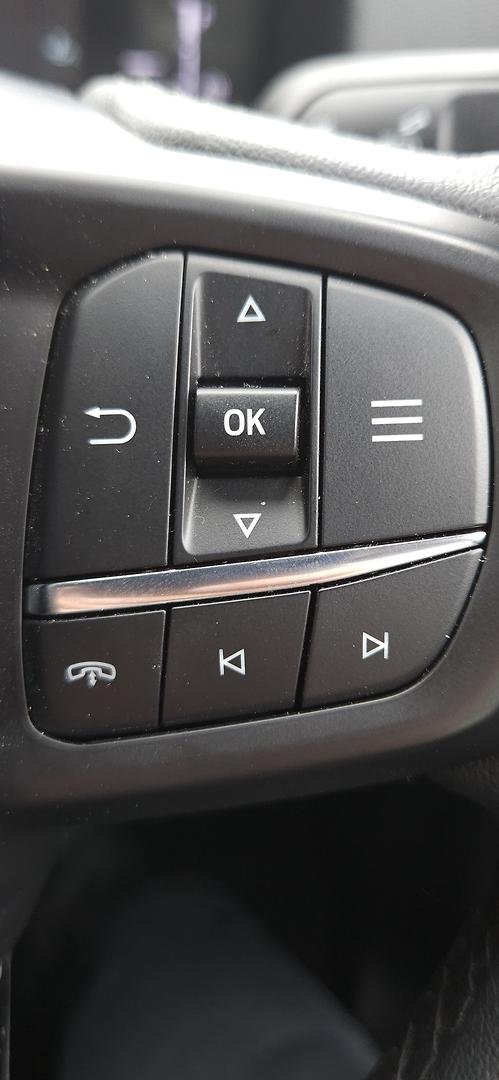 2024 Ford Everest Trend