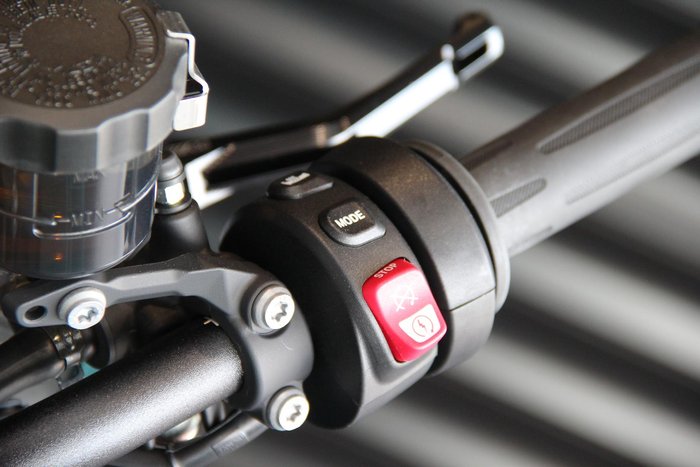 2025 BMW M 1000 XR M 1000 Green