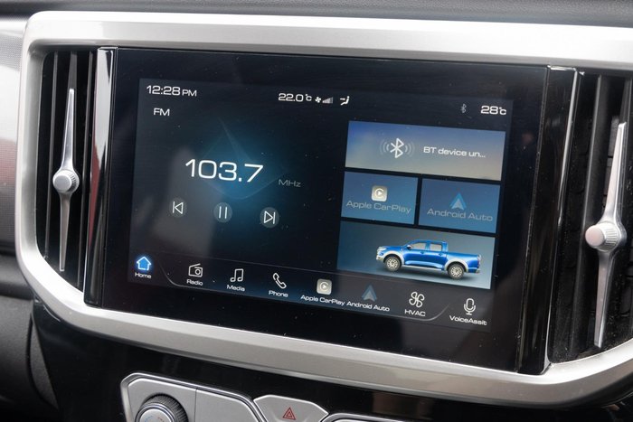 2022 GWM Ute Cannon-X